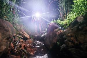 BIB: 
                            <button type="button" onclick="openModal(26413721)" class="btn btn-primary btn-sm float-right btn-popup" data-toggle="modal" data-target=".modal-high-quality">
                        <i class="fas fa-shopping-cart"></i> Add to Cart
                    </button>
                                            <button type="button" onclick="isThisMe(26413721, true)" class="btn btn-success btn-sm float-right btn-popup btn-isme hidden" data-toggle="tooltip" data-placement="bottom" title="นี่คือรูปของคุณใช่ไหม คลิกที่นี่เพื่อเอาเข้าอัลบั้ม">
                        <i class="fas fa-plus"></i> Add to album
                    </button>
                    <button type="button" onclick="isThisMe(26413721, false)" class="btn btn-warning btn-sm float-right btn-popup btn-isnotme hidden">
                        <i class="fas fa-ban"></i> Remove from album
                    </button>